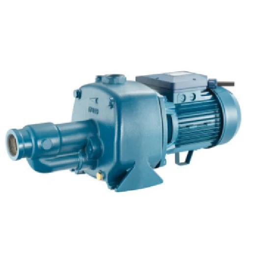 Pentax CAB300 Series Single Phase- Cast Iron Self-Priming Centrifugal Pumps