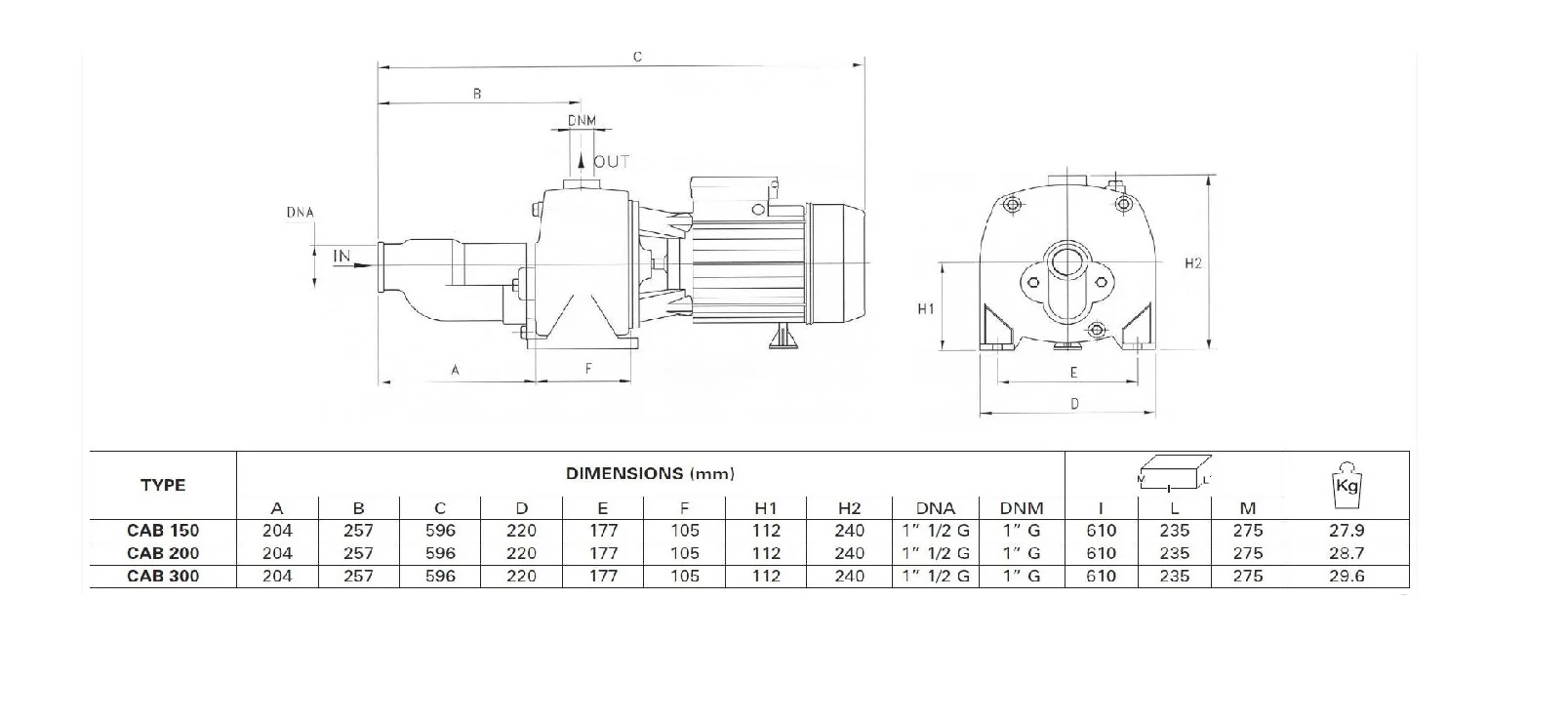 Pentax CAB300 Series Single Phase- Cast Iron Self-Priming Centrifugal Pumps - Image 3