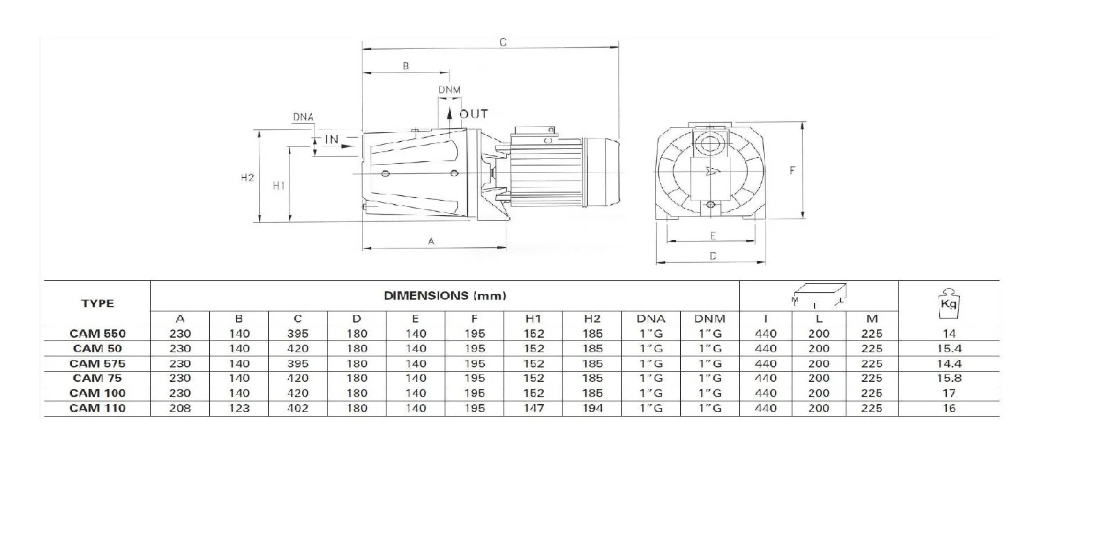 Pentax CAM 100N/61 Series - Cast Iron Jet Pump - Image 3